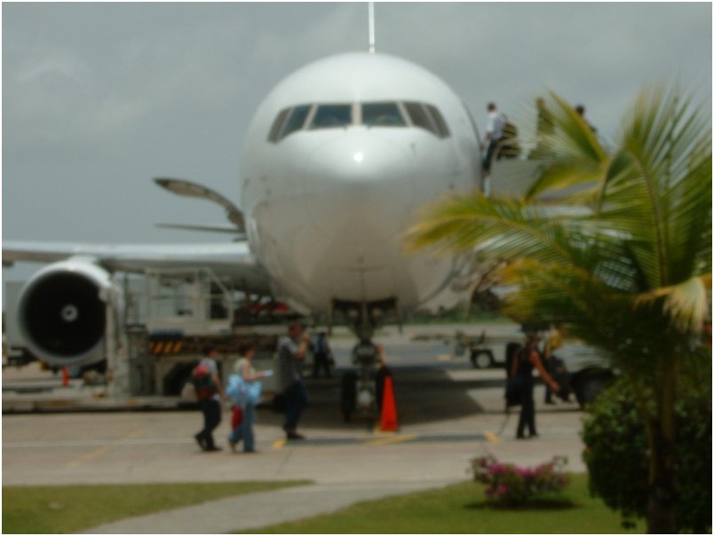 Flight (14)